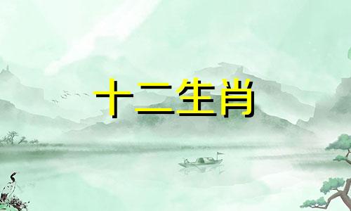 2023年兔人整体运势怎么样呢
