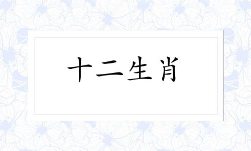 2023年属兔女孩命运好不好