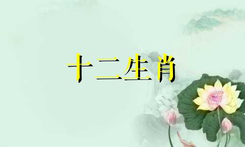75年属兔女今年会有什么样的运势 运势也十分乐观