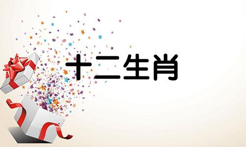 99年属兔女2023年全年运势