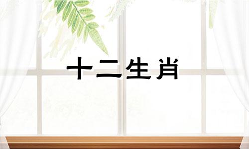 2000年属龙人2023年每月运势