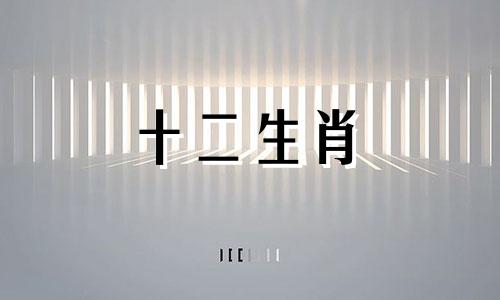 1988年属龙的2023年每月运程