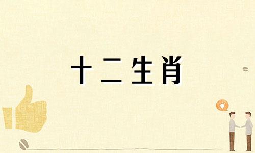 1964年属龙人2023年8月运气如何