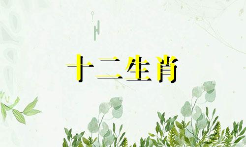 2023年属龙女命整体运势好吗婚姻如何