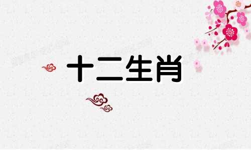2023年生肖龙女生婚姻运势怎么样呢