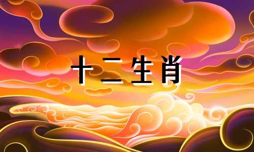 2023年属龙女的财富运势和事业运势怎么样呢