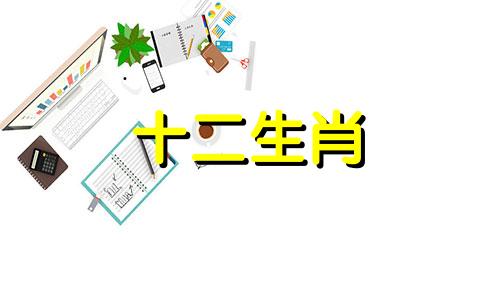 2000年出生的属龙女在2023年下半年的运势如何呢