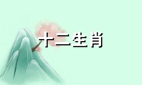 属龙人2023年桃花运如何 2023年属龙人的全年财运