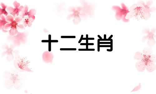 2023年生肖龙的运气如何呢