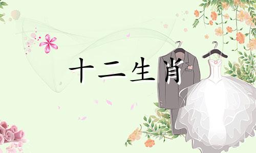 2023年什么颜色是属龙人的吉祥色呢