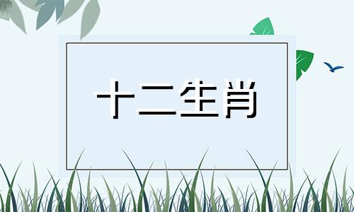 龙年的人在2020要戴什么吊坠