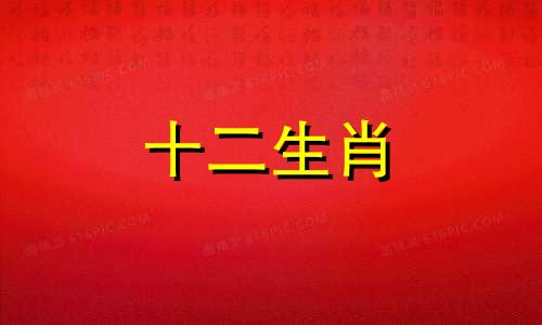 属龙人2023年桃花运如何 2023年属龙人的全年运势详解