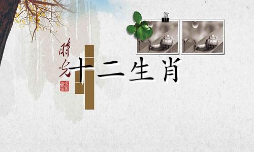 2023年下半年属蛇女的婚姻运势怎么样呢