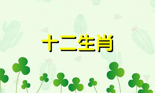 2023年下半年属蛇女的财运情况怎么样呢