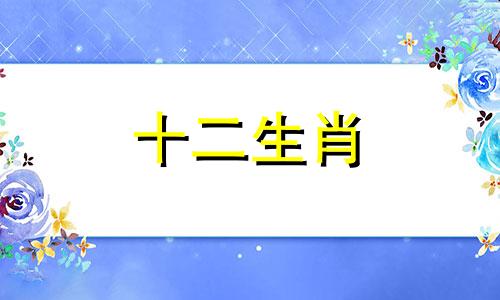 2023年属蛇人的爱情会有什么样的走向呢