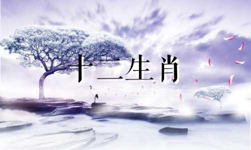 2023年属蛇人在哪些月份可以转运呢
