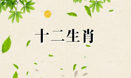 77年出生的蛇男能在2023年遇到好桃花吗