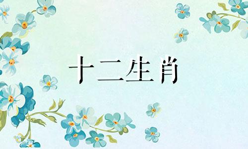 2023年46岁属蛇人的感情婚姻运势好吗女
