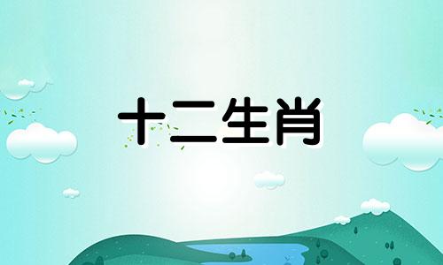 1965年的属蛇人在2023年将会有怎样的运势
