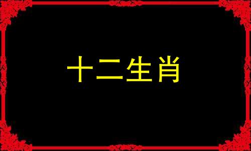 1989年的蛇男在2023年婚姻运势好不好