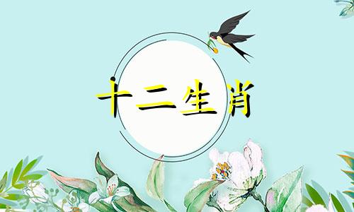 2023年属蛇人桃花运势如何呢