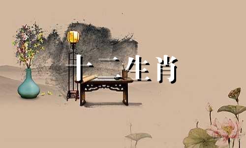 属马男与朋友圈的秘密是什么