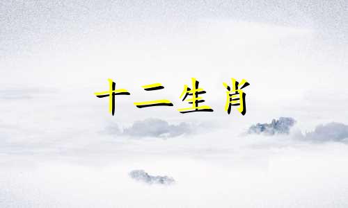 属马初七女孩一生命运如何呢