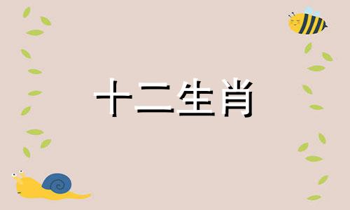 属马人2023年6月运势运程详细解析视频