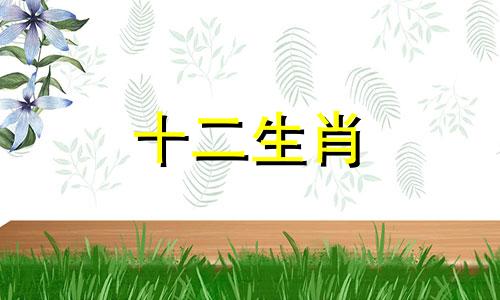 属马男命如何在33岁的兔年找到恋爱桃花呢