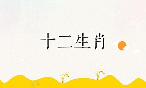 2002年属马的2023年怎么样