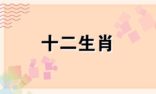 属马男2023年全年运势如何