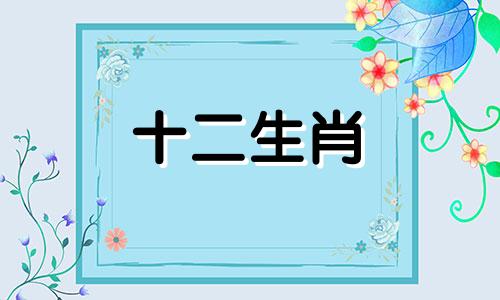 78年男马43岁以后的命运 78年男马一生的感情婚姻
