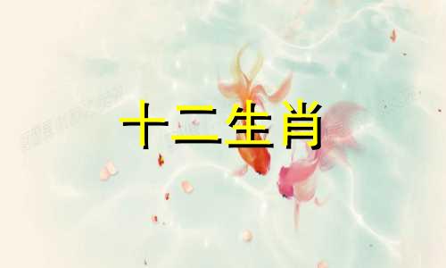 2023年兔年适合属马结婚吗?姻缘如何呢