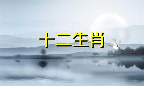 属马男命,2014年9岁出生,2023年下半年的运势如何呢
