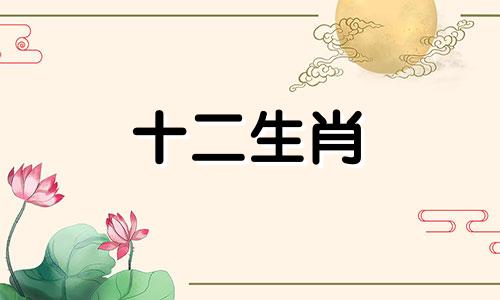 78年2023年属马人全年运势女