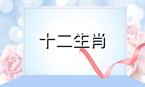 2014年属马女在2021年运势