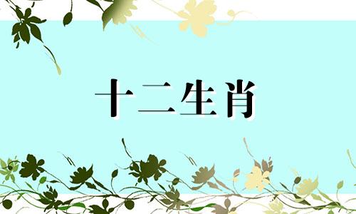 1978属马女2023年运势及运程每月运程