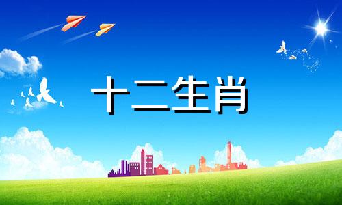 1967年属羊人在2023年运势