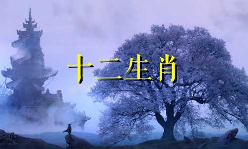 1979年属羊人2023年每月运势及运程