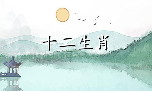 79年出生属羊女2023年下半年兔年财运发展好不好呢
