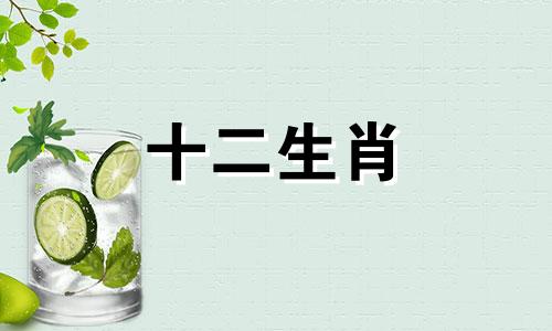 属羊人2023年财运运势如何