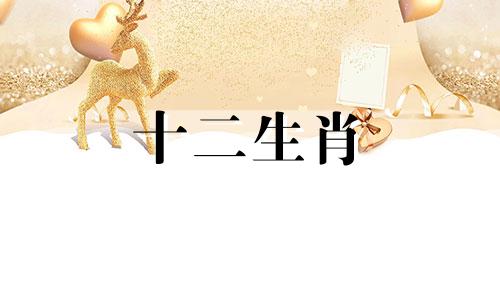 2023年属羊人身边会有几个贵人呢