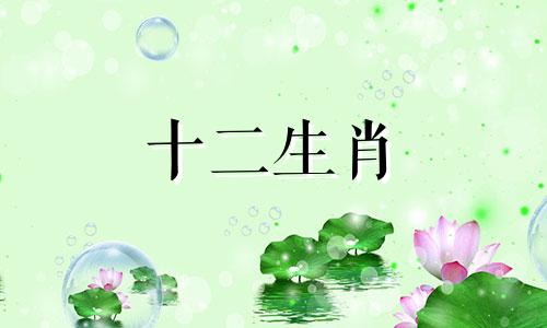 属猴的一句惊人之言是什么