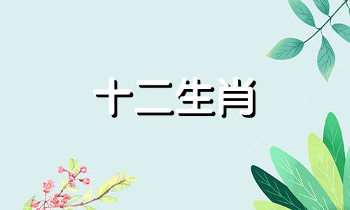 92年属猴人2023年感情运势,是否会遇到正缘桃花
