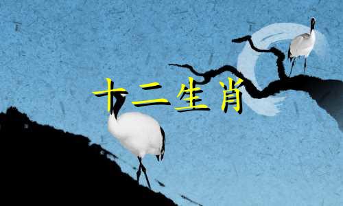 03年羊男2022年运势如何 03年属羊男2021年运势及运程每月运程灵机