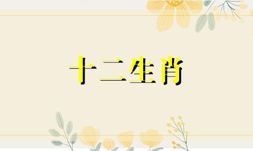 1980年属猴女2023年下半年整体运势好吗
