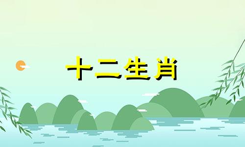 1992年的属猴女在2023年下半年运气好不好呢