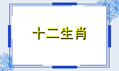 猴在2023年的每月运势如何