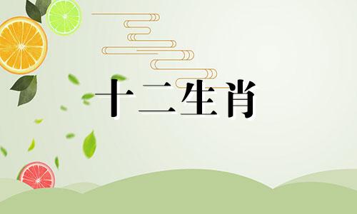 80年属猴人在2023年的全年运势