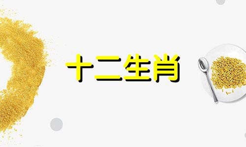1980属猴的人在2023年怎么样